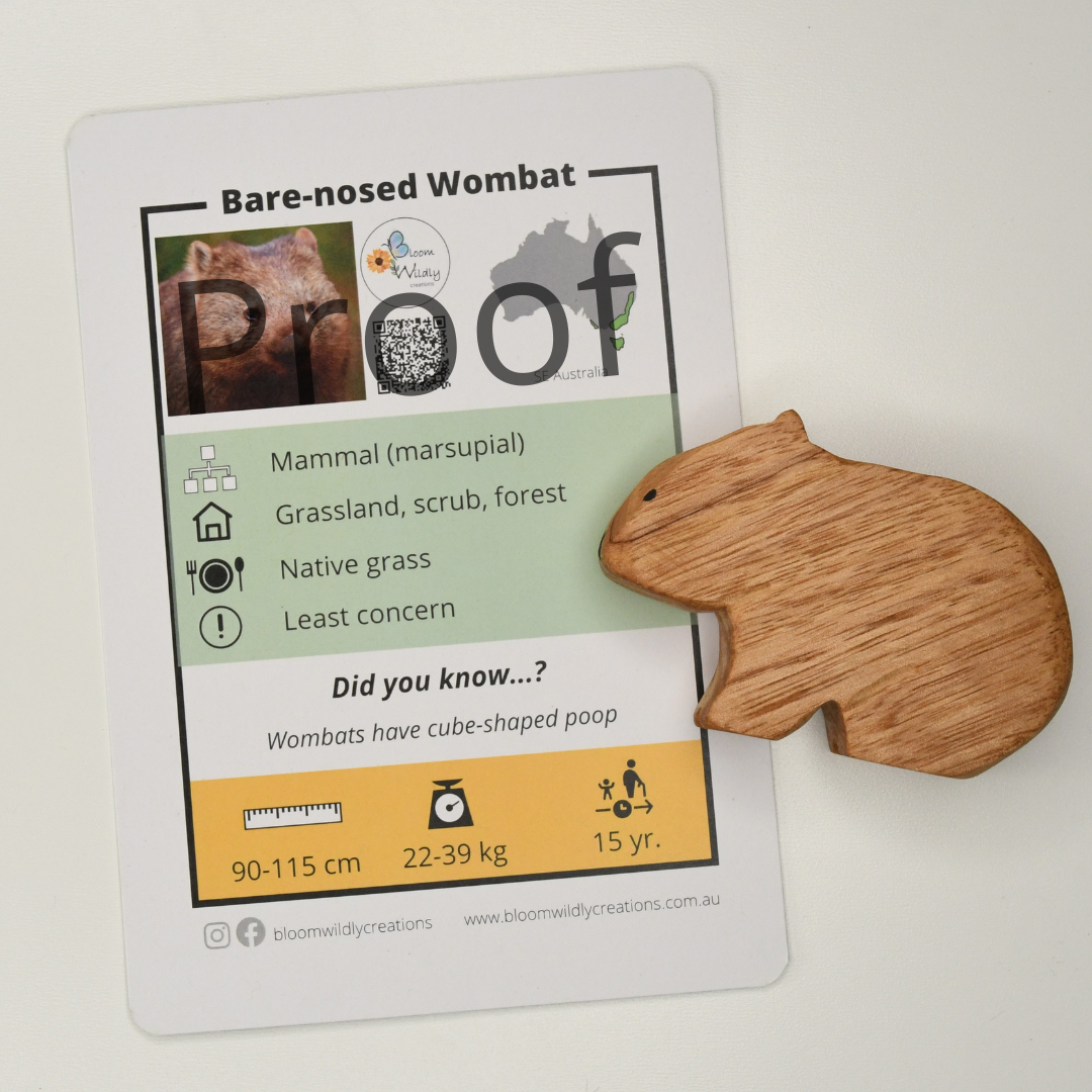 Wooden wombat toy handcrafted in Australia from Tasmanian oak standing next to accompanying fact card showing animal photograph and fun facts.