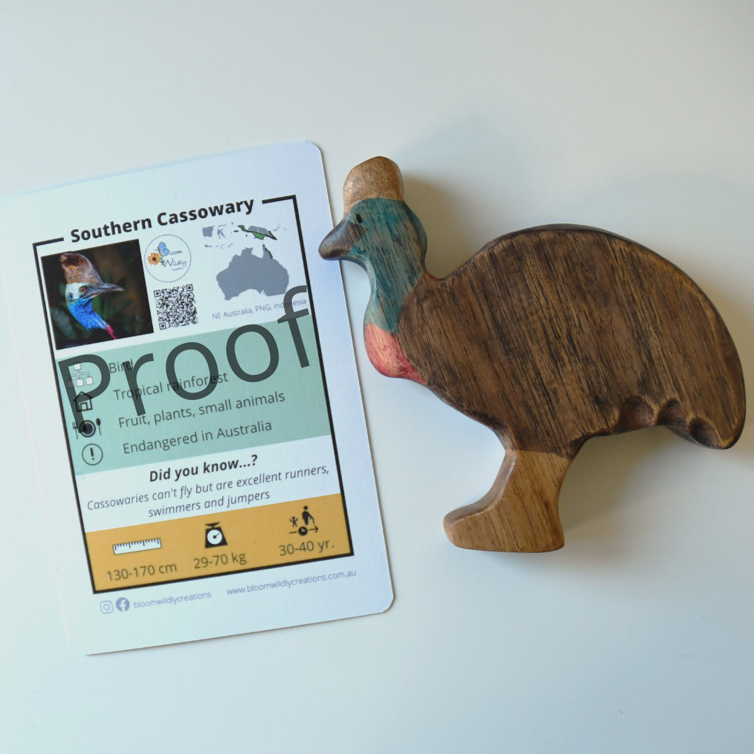 Wooden cassowary toy handcrafted in Australia from Tasmanian oak standing next to accompanying Cassowary fact card showing animal photograph and fun facts.