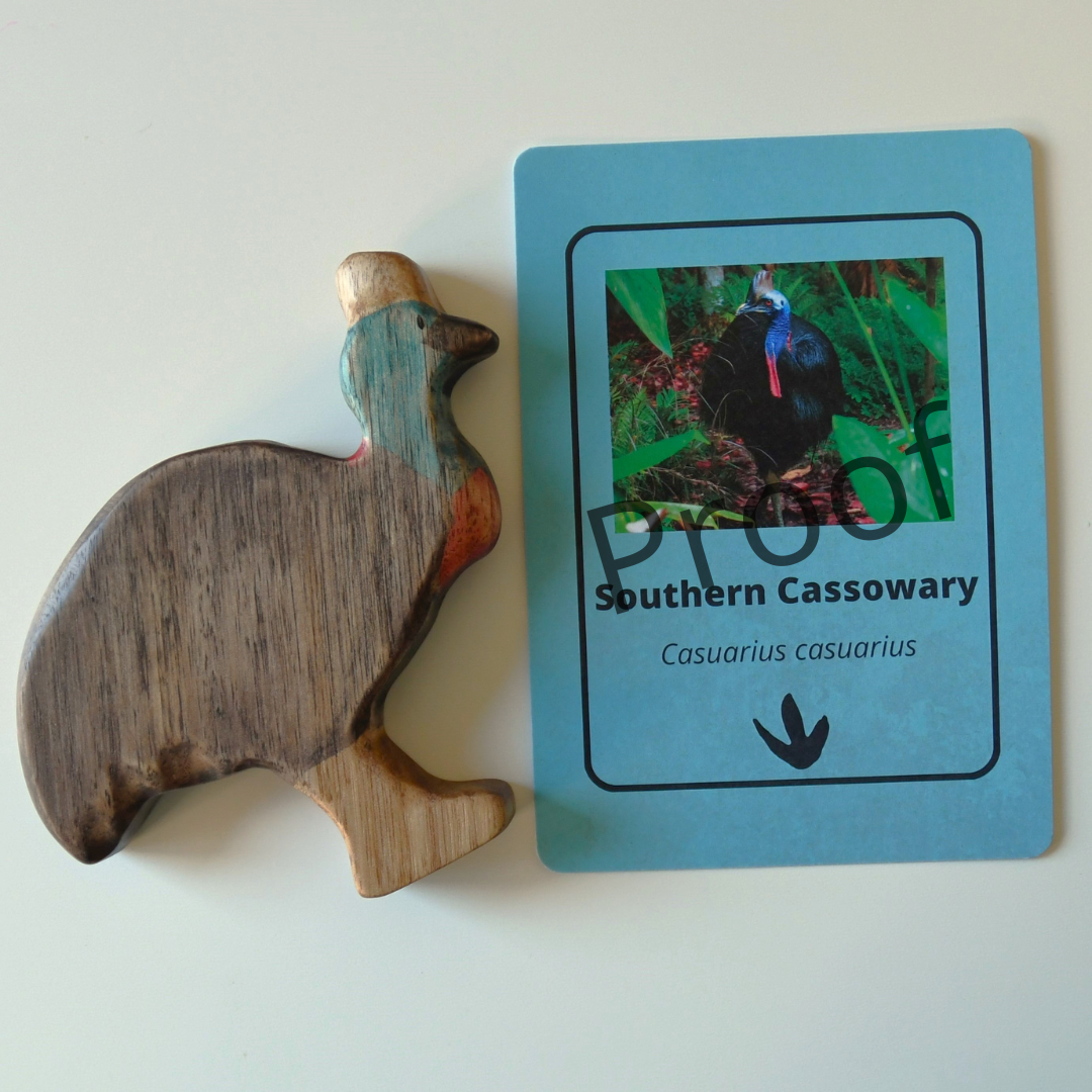 Wooden cassowary toy handcrafted in Australia from Tasmanian oak standing next to accompanying Cassowary fact card showing animal photograph and footprint.