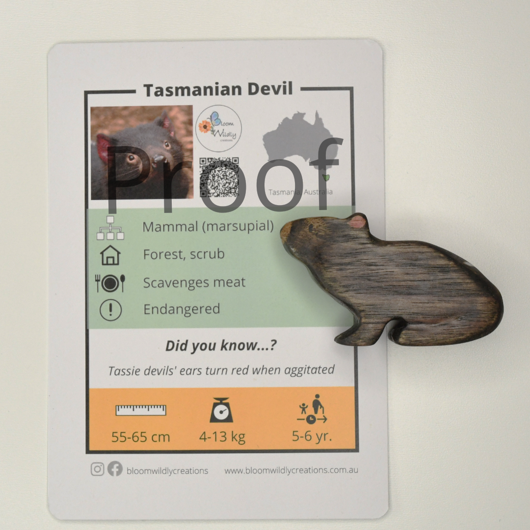 Wooden Tasmanian devil toy handcrafted in Australia from Tasmanian oak standing next to accompanying fact card showing animal photograph and fun facts.