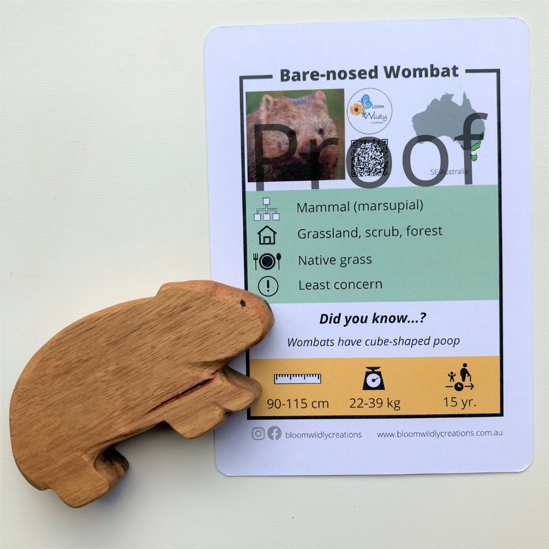 Wooden wombat toy handcrafted in Australia from Tasmanian oak standing next to accompanying fact card showing animal photograph and fun facts.